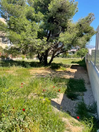 Οικόπεδο 1000τ.μ.