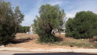 Οικόπεδο 520τ.μ.