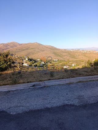 Οικόπεδο 1029 τ.μ.