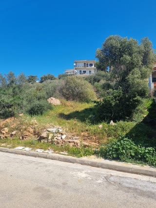 Οικόπεδο 610τ.μ.