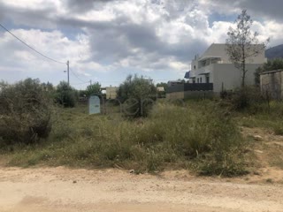 Οικόπεδο 645τ.μ.