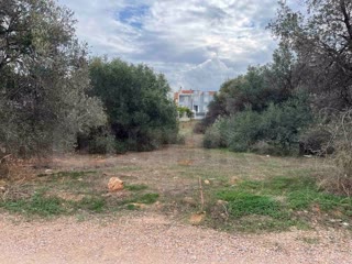 1500 τ.μ. Οικόπεδο