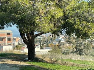 Οικόπεδο 228τ.μ.