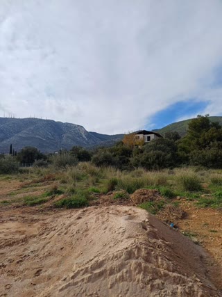 Οικόπεδο 200 τ.μ.