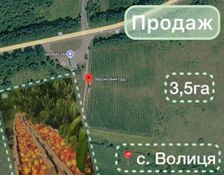 Продаж готового агробізнесу біля кордону з Польщею | Персиковий сад 3,4 га