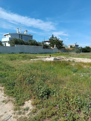 6200 m² Plot