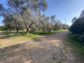 Οικόπεδο 1030τ.μ.