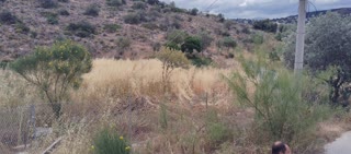 Αγροτεμάχιο 771 τ.μ.