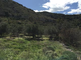 Οικόπεδο 29000 τ.μ.