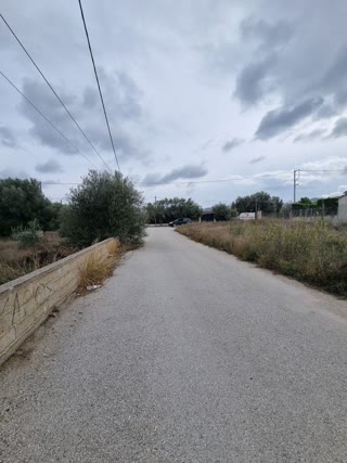 602 m² Plot