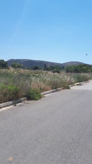 Οικόπεδο 623τ.μ.