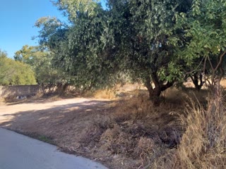 Οικόπεδο 415τ.μ.