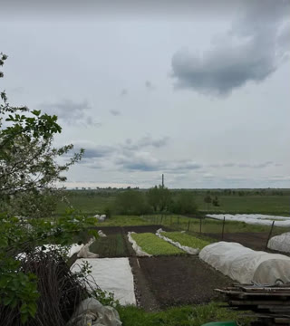 Продаж будинку у Великих Грибовичах