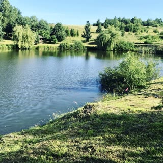 🌿 Продаж земельної ділянки під відпочинковий комплекс біля Трускавця