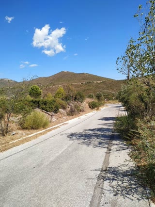 Οικόπεδο 1481τ.μ.