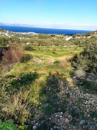600τ.μ. Οικόπεδο