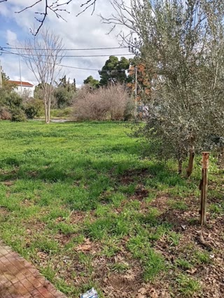 Οικόπεδο 386τ.μ.