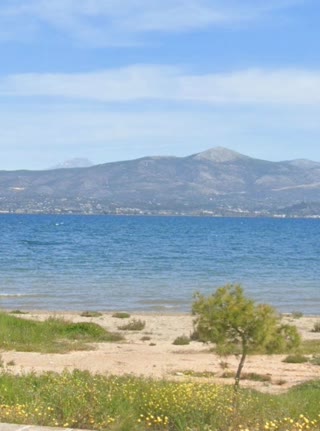 Οικόπεδο 1029 τ.μ.