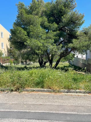 Οικόπεδο 1000τ.μ.
