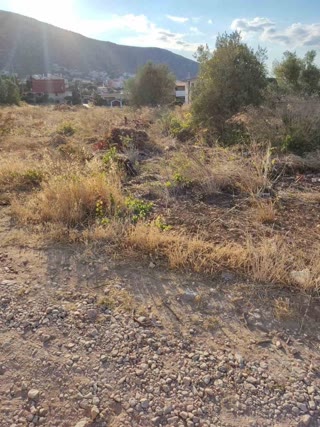 Οικόπεδο 250τ.μ.