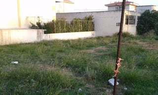 Οικόπεδο 260τ.μ.