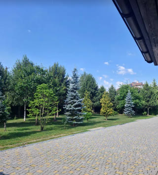 🔥 Продаж просторого будинку з гостьовим будинком та басейном у Солонці