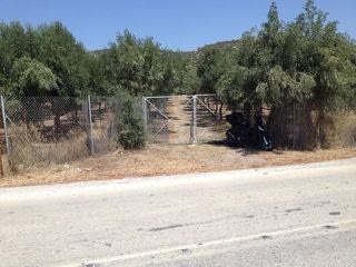 Αγροτεμάχιο 1380 τ.μ.