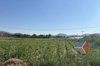 Αγροτεμάχιο 23500 τ.μ.