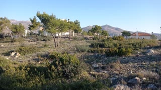 Οικόπεδο 2683 τ.μ.