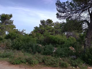 2030 m² Plot