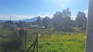 Οικόπεδο 282τ.μ.