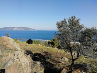 4868 m² Parcel