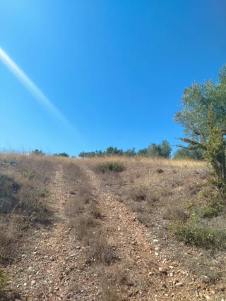 Αγροτεμάχιο 5887τ.μ.