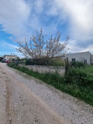 Οικόπεδο 240τ.μ.