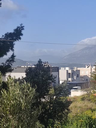 Οικόπεδο 1392 τ.μ.