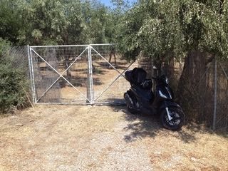 Αγροτεμάχιο 1380 τ.μ.