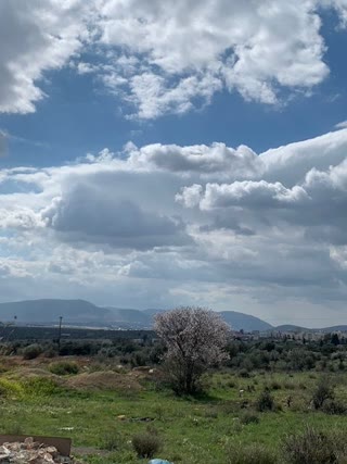 Οικόπεδο 7775 τ.μ.