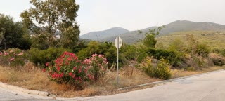 Οικόπεδο 1500 τ.μ.