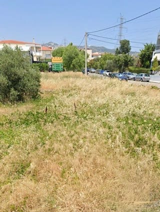 Οικόπεδο 1560 τ.μ.