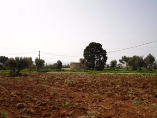 Αγροτεμάχιο 2250τ.μ.