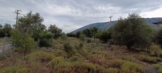 Οικόπεδο 210τ.μ.