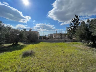 Οικόπεδο 1000 τ.μ.