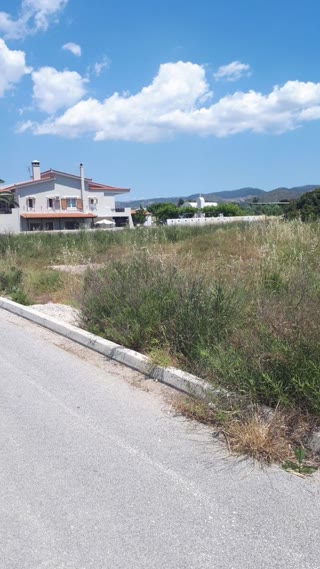 Οικόπεδο 623τ.μ.