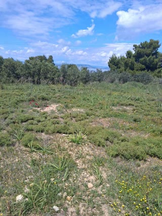 Οικόπεδο 1840 τ.μ.