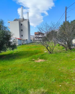 Οικόπεδο 230τ.μ.