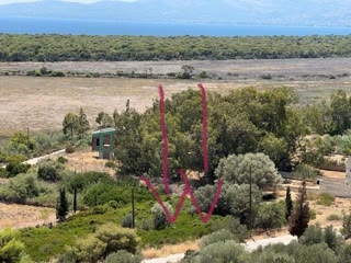 Οικόπεδο 1081τ.μ.