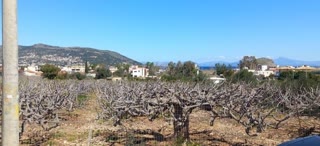Οικόπεδο 250τ.μ.