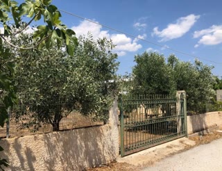 Αγροτεμάχιο 300τ.μ.
