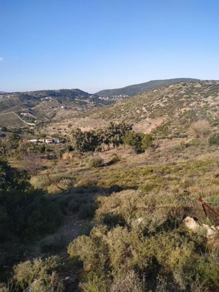 5150τ.μ. Αγροτεμάχιο