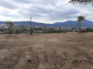 Αγροτεμάχιο 11000 τ.μ.
